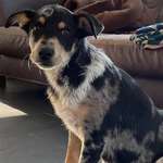 Ersteller:in Anna Profilbild