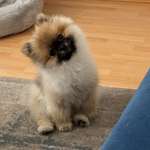 Ersteller:in Teddy Profilbild