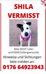 Suchmeldung-Shila-Bild