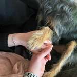 Ersteller:in Sandra Profilbild