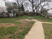 Hundeauslaufgebiet-Hundezone Flohberg-Bild