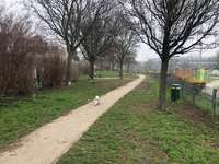 Hundeauslaufgebiet-Hundezone Flohberg-Bild