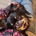 Ersteller:in Kira Profilbild