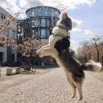 Ersteller:in Hendrik Profilbild