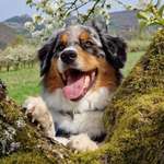 Ersteller:in Hendrik Profilbild