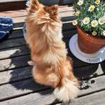 Ersteller:in Krissy Profilbild