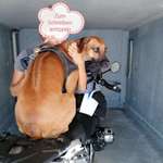 Ersteller:in A. K. Profilbild