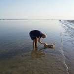 Ersteller:in Mona Profilbild