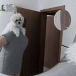 Ersteller:in Fabian+Mari Profilbild