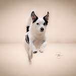 Ersteller:in Leonie Profilbild