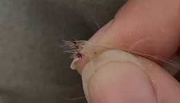 Kleine Wunden-Beitrag-Bild