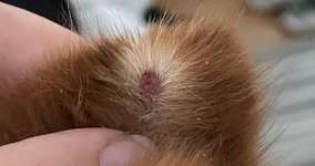 Kleine Wunden-Beitrag-Bild