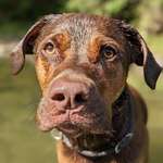 Ersteller:in Chris Profilbild