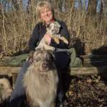 Ersteller:in Claudia Profilbild