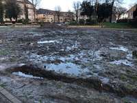 Hundeauslaufgebiet-Haumannplatz/Schönleinstraße-Bild