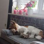 Ersteller:in Nadine Profilbild