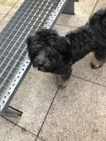 Verdauung-Beitrag-Bild