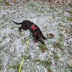 Ersteller:in Kristina Profilbild