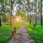 Ersteller:in Anke Profilbild