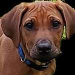 Ersteller:in Ute Profilbild