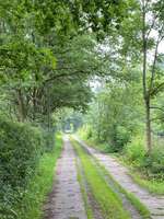 Hundeauslaufgebiet-Mühlgraben-Bild