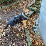 Ersteller:in Corinna Profilbild