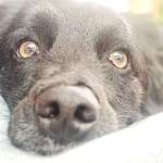 Ersteller:in Lea Profilbild