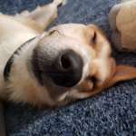 Ersteller:in Carmen Profilbild