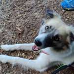 Ersteller:in Alexandra Profilbild