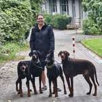 Ersteller:in Kathy Profilbild