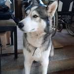 Ersteller:in Sebastian Profilbild