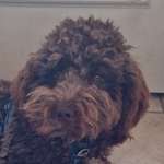 Ersteller:in Gaby Profilbild