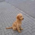 Ersteller:in Christian Profilbild