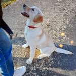 Ersteller:in M Profilbild