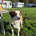 Suchmeldung-Cara-Bild