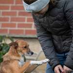 Ersteller:in Angi Profilbild