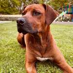 Ersteller:in Eileen Profilbild