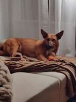 Suchmeldung-Oliver-Bild