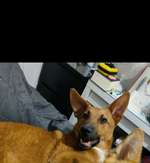 Suchmeldung-Oliver-Bild