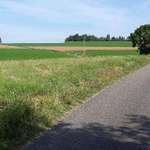 Hundeauslaufgebiet-Feldweg am Flugplatz-Bild