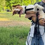 Ersteller:in Rahel Profilbild