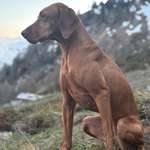 Ersteller:in Michael R H Profilbild