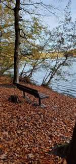 Hundeauslaufgebiet-Rundweg Köttinger See-Bild