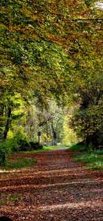 Hundeauslaufgebiet-Rundweg Köttinger See-Bild