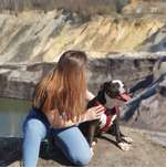 Ersteller:in Lina Profilbild