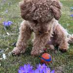 Ersteller:in Monia Profilbild