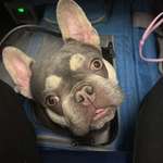 Ersteller:in Andrea Profilbild