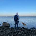 Ersteller:in Paul Profilbild