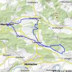 Hundeauslaufgebiet-Weinberg Lienzingen-Bild