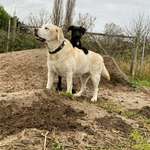 Ersteller:in Lisa Profilbild